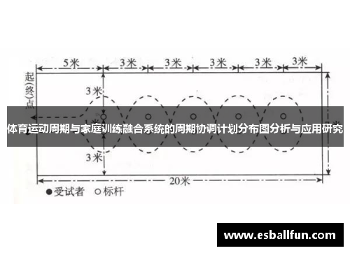 体育运动周期与家庭训练融合系统的周期协调计划分布图分析与应用研究